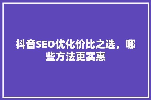 抖音SEO优化价比之选，哪些方法更实惠