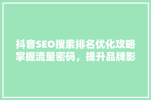 抖音SEO搜索排名优化攻略掌握流量密码，提升品牌影响力