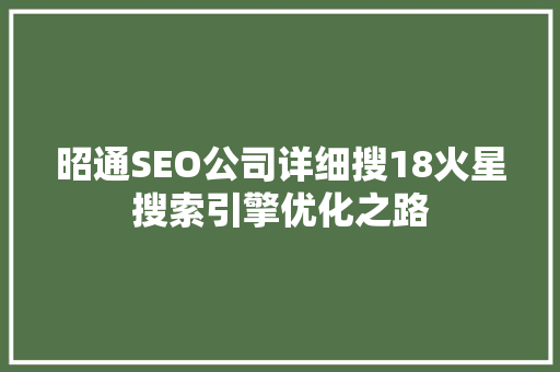 昭通SEO公司详细搜18火星搜索引擎优化之路
