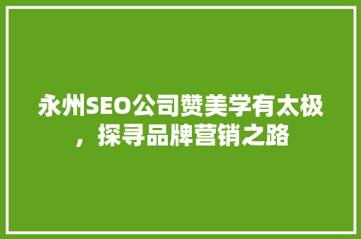 永州SEO公司赞美学有太极，探寻品牌营销之路