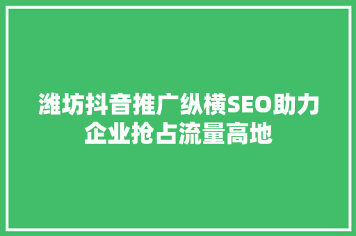 潍坊抖音推广纵横SEO助力企业抢占流量高地