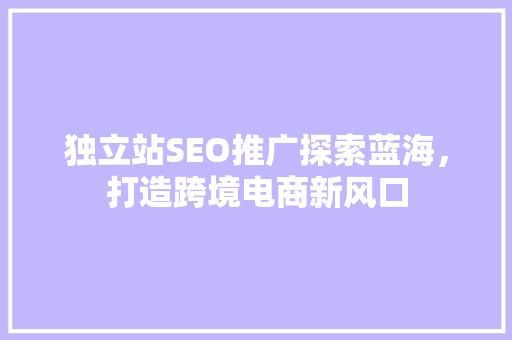 独立站SEO推广探索蓝海，打造跨境电商新风口