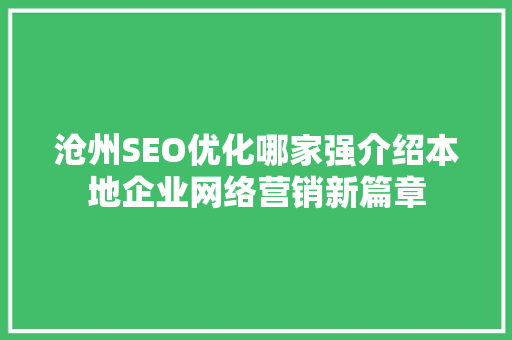 沧州SEO优化哪家强介绍本地企业网络营销新篇章  第1张