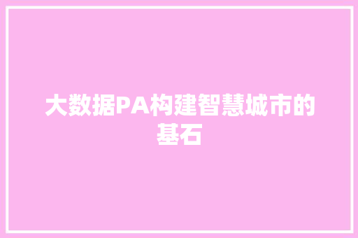 大数据PA构建智慧城市的基石  第1张
