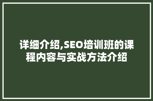 详细介绍,SEO培训班的课程内容与实战方法介绍
