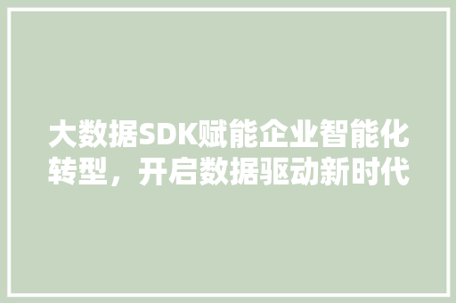 大数据SDK赋能企业智能化转型，开启数据驱动新时代