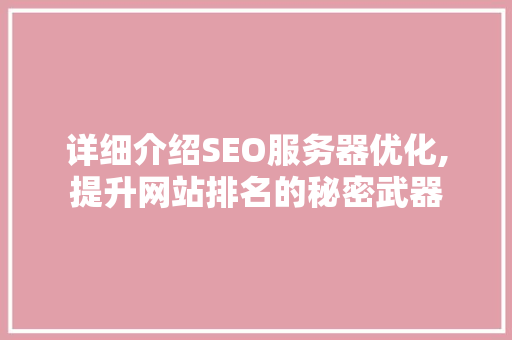 详细介绍SEO服务器优化,提升网站排名的秘密武器