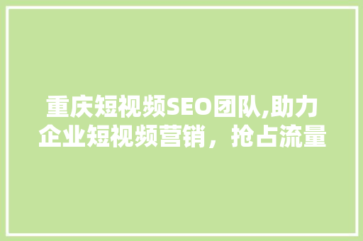 重庆短视频SEO团队,助力企业短视频营销，抢占流量高地