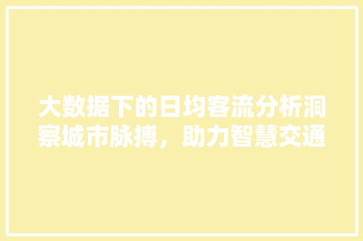大数据下的日均客流分析洞察城市脉搏，助力智慧交通