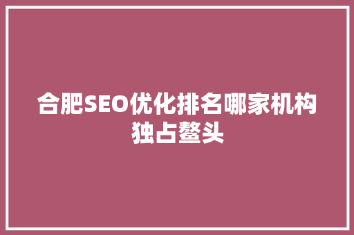 合肥SEO优化排名哪家机构独占鳌头