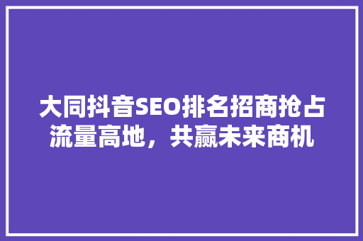 大同抖音SEO排名招商抢占流量高地，共赢未来商机