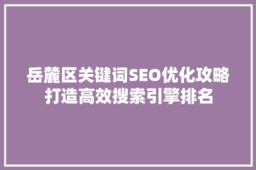 岳麓区关键词SEO优化攻略打造高效搜索引擎排名