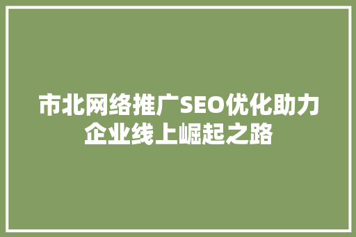 市北网络推广SEO优化助力企业线上崛起之路