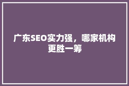 广东SEO实力强，哪家机构更胜一筹