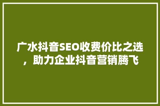 广水抖音SEO收费价比之选，助力企业抖音营销腾飞