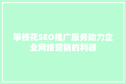 攀枝花SEO推广服务助力企业网络营销的利器