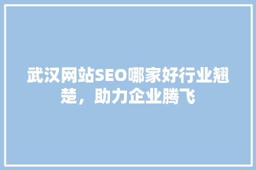 武汉网站SEO哪家好行业翘楚，助力企业腾飞