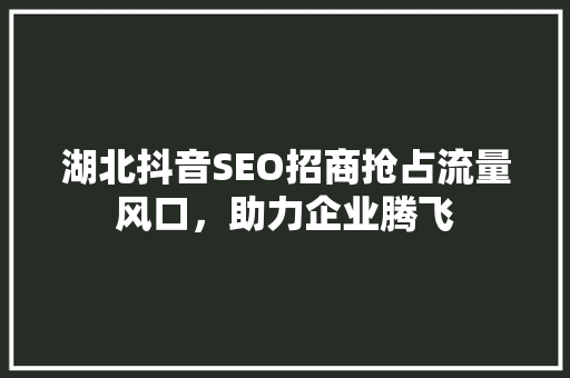 湖北抖音SEO招商抢占流量风口，助力企业腾飞