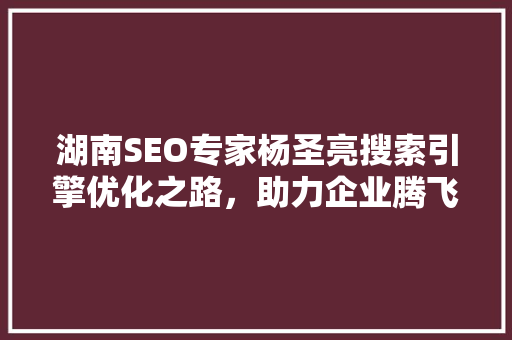 湖南SEO专家杨圣亮搜索引擎优化之路，助力企业腾飞