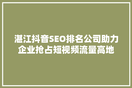 湛江抖音SEO排名公司助力企业抢占短视频流量高地