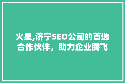火星,济宁SEO公司的首选合作伙伴，助力企业腾飞
