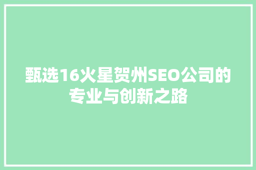甄选16火星贺州SEO公司的专业与创新之路