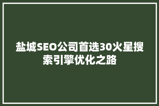 盐城SEO公司首选30火星搜索引擎优化之路