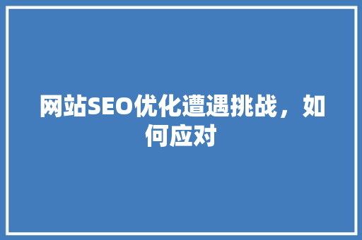 网站SEO优化遭遇挑战，如何应对