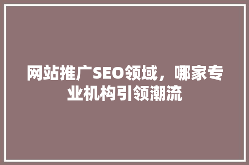 网站推广SEO领域，哪家专业机构引领潮流