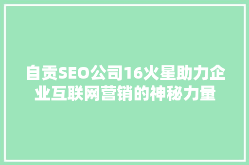 自贡SEO公司16火星助力企业互联网营销的神秘力量
