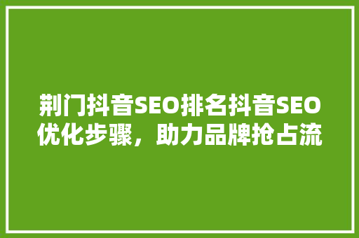 荆门抖音SEO排名抖音SEO优化步骤，助力品牌抢占流量高地