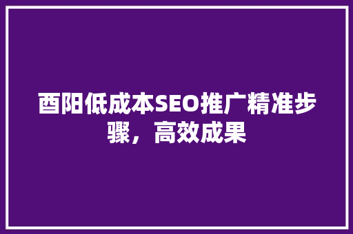 酉阳低成本SEO推广精准步骤，高效成果