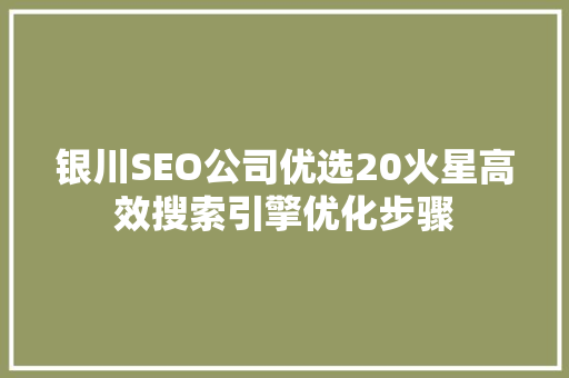 银川SEO公司优选20火星高效搜索引擎优化步骤