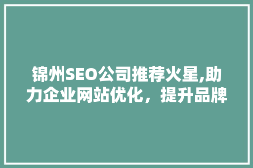 锦州SEO公司推荐火星,助力企业网站优化，提升品牌影响力