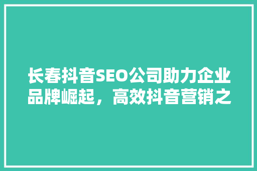 长春抖音SEO公司助力企业品牌崛起，高效抖音营销之路