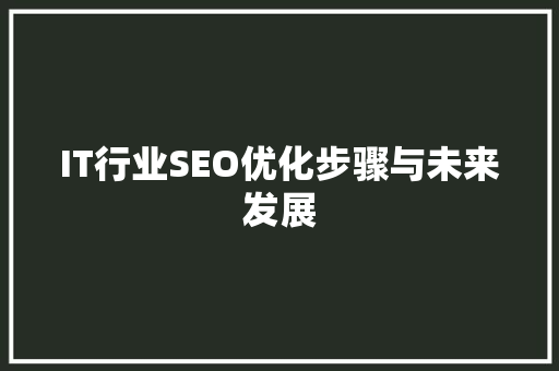 IT行业SEO优化步骤与未来发展
