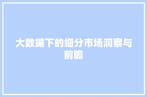 大数据下的细分市场洞察与前瞻