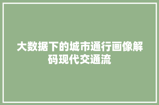 大数据下的城市通行画像解码现代交通流  第1张