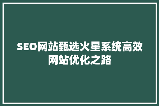 SEO网站甄选火星系统高效网站优化之路