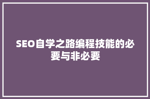 SEO自学之路编程技能的必要与非必要