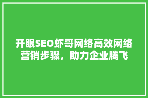 开眼SEO虾哥网络高效网络营销步骤，助力企业腾飞