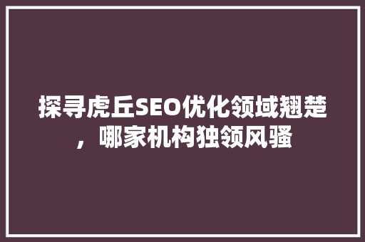 探寻虎丘SEO优化领域翘楚，哪家机构独领风骚