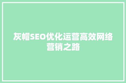 灰帽SEO优化运营高效网络营销之路