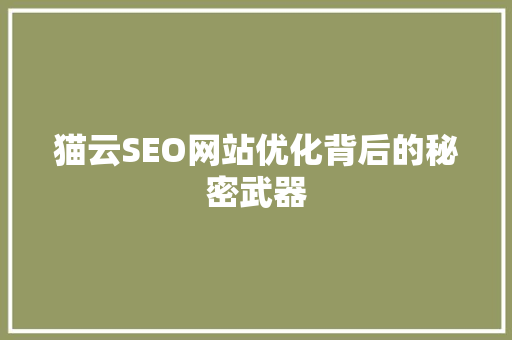猫云SEO网站优化背后的秘密武器