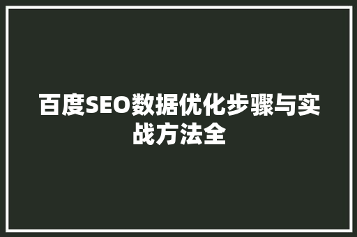 百度SEO数据优化步骤与实战方法全