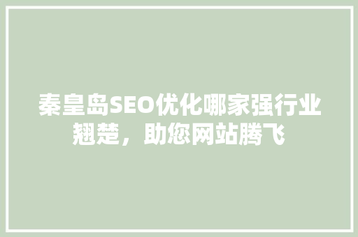 秦皇岛SEO优化哪家强行业翘楚，助您网站腾飞