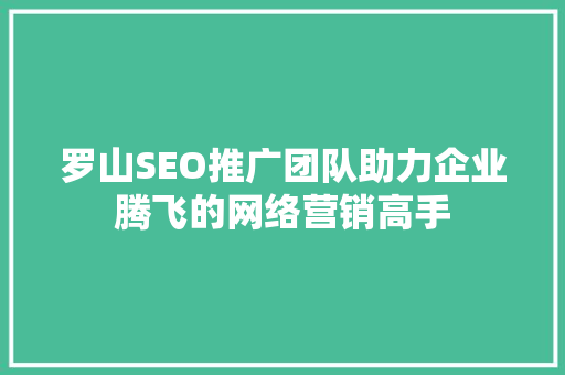罗山SEO推广团队助力企业腾飞的网络营销高手