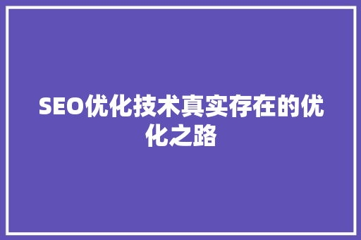 SEO优化技术真实存在的优化之路