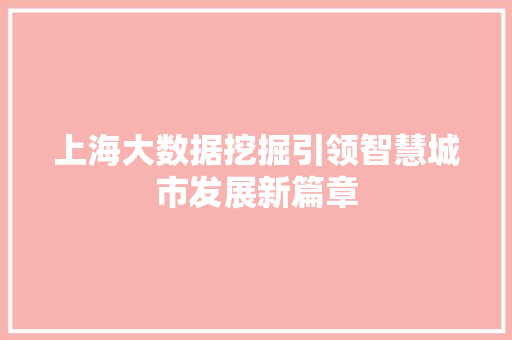上海大数据挖掘引领智慧城市发展新篇章