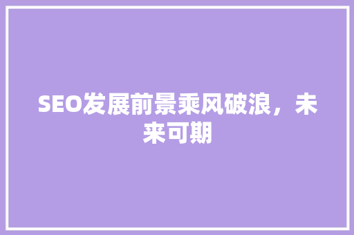 SEO发展前景乘风破浪，未来可期